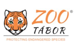 zoo tábor