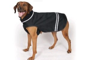 oblečení pro psy