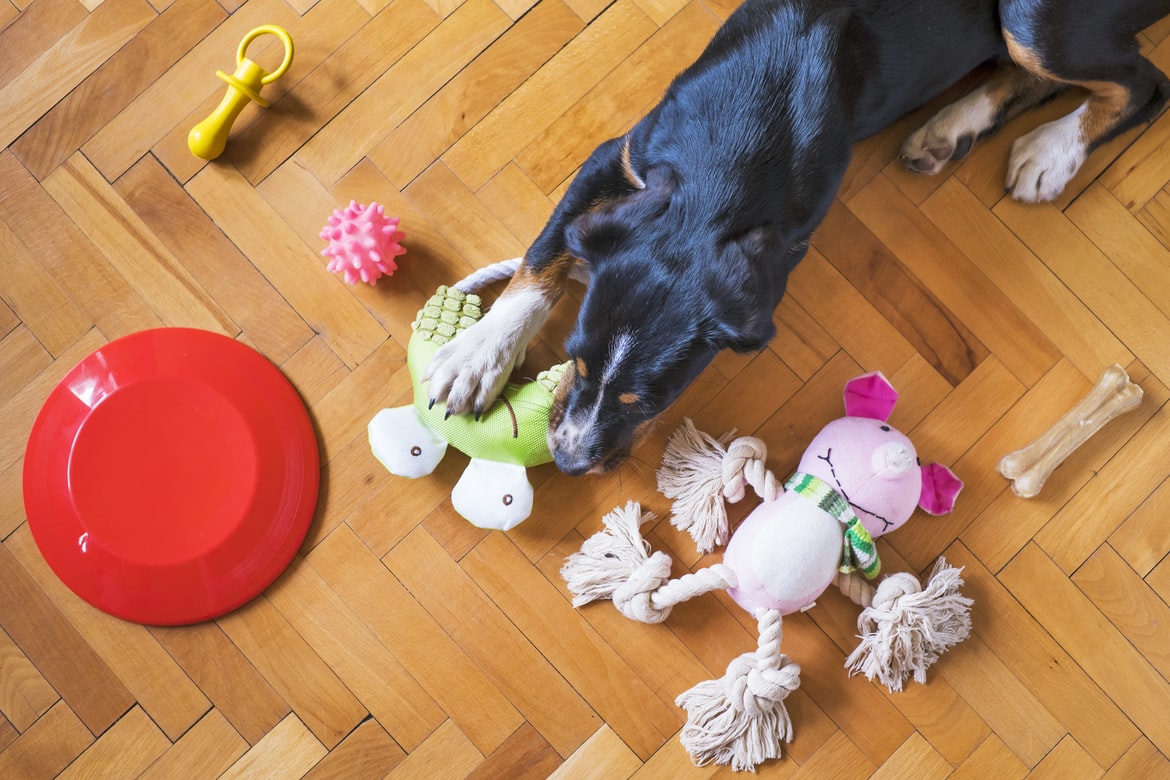 hračky pro psy k vanocům